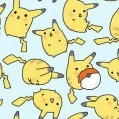 JALJAL様専用　ピカチュウカードのサムネイル