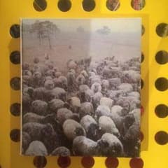 洋書のサムネイル