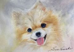 美品】トリシア RAPUNZEL & PASCAL アールビバン | Shop at Mercari