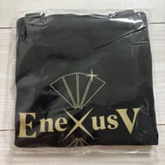 STARDOM_トートバック ～GiGOグループのお店限定～ E neXus V