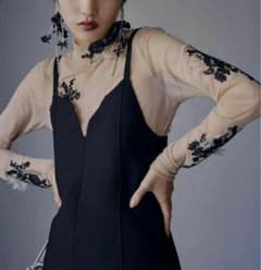 AMERI シアートップス　スキントップス　刺繍入りシースルータートルネック AMERI シアートップス スキントップス 刺繍入りシースルー