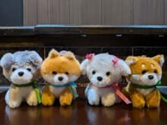 Lovely Puppy マスコット BC ぬいぐるみキーホルダーのサムネイル