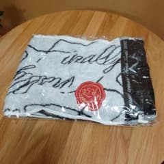 安室奈美恵 ツアータオルセット 安室奈美恵 ライブツアーグッズ フェイスタオル 2枚セット FEEL GENIC