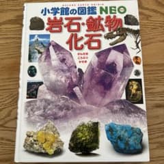 岩石・鉱物　化石のサムネイル