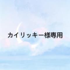カイリッキー様専用ページのサムネイル
