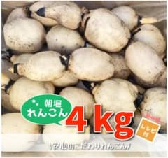 霞ヶ浦産★朝堀れんこん☆4kg☆レシピ付き☆蓮根のサムネイル