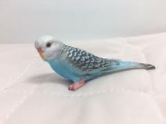 シュライヒ インコ(青)のサムネイル