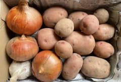 無農薬野菜セット 玉ねぎ じゃがいも にんにく - メルカリ