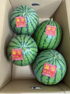 産地直送訳あり大玉スイカ4玉入合計箱込10キロ前後北海道東北各県沖縄