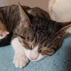 すず汰。様専用のサムネイル