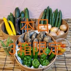 夏野菜　長野県産　ブルーベリーチャンドラ300g付　詰め合わせセットのサムネイル