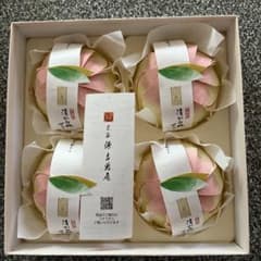 源吉兆庵　白桃ゼリーのサムネイル