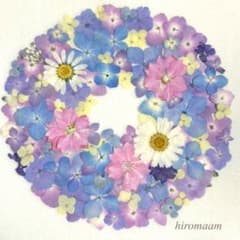 ★チドリソウとアジサイの爽やかセット★押し花素材のサムネイル