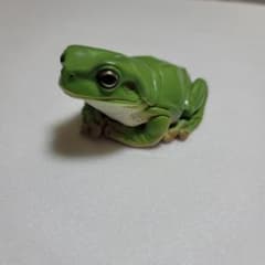 大きい手乗り緑色カエルフィギュアのサムネイル