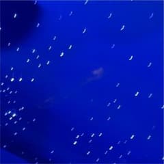 MB様専用　フジツボマフラーのサムネイル