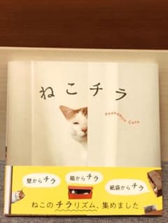 ねこチラのサムネイル