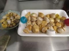 ジャンボニンニク 球根＋カツオ菜の種のサムネイル