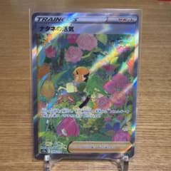 ナタネの活気 SAR S12a VSTARユニバース 243/172 ナタネの活気 SAR[s12a 243/172](ハイクラスパック「VSTARユニバース