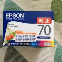 EPSON IC6CL70のサムネイル