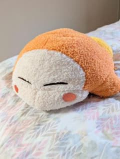 와돌디 봉제인형
