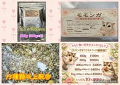 大好評♪モモンガオリジナルフード800g(400g×2) - メルカリ