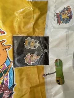 ピカチュウ ホウオウ ルギアポンチョ ピンズ ポケモンセンター京都限定のサムネイル