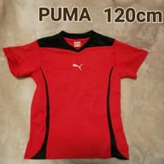 PUMA 半袖 シャツ Tシャツ プラクティスシャツ スポーツウエア 120cmのサムネイル