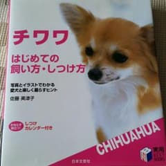 チワワの飼いかた❤のサムネイル