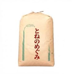 新米 令和7年度 埼玉県産 とねのめぐみ 玄米 30kg 1袋 未検査米 送料込のサムネイル