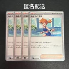 (익명 배송) 카스미의 건강 4장 세트