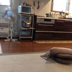 送料のサムネイル