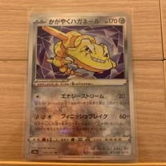かがやくハガネールのサムネイル