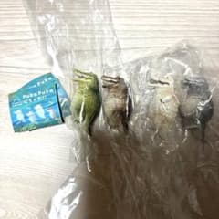 ぽちゃわに コンプ pukapuka バラ⭕️のサムネイル