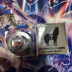 オルフェーヴル　ウェルカムチャンス　Ｅ賞　アクリルキーホルダーのサムネイル
