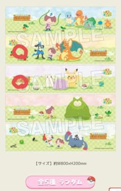 ２枚セット　極楽湯　ぽこあポケモン タオル うすいろピカチュウ　リザードンのサムネイル