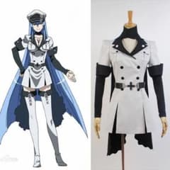 エスデス コスプレ衣装のサムネイル