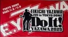 矢沢永吉 E.YAZAWA スペシャルビーチタオル Do it! - メルカリ