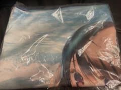 タペストリー　ルルティエ 描き下ろしB2タペストリー