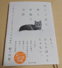 捨てられた僕と母猫と奇跡 : 心に傷を負った二人が新たに見つけた居場所のサムネイル