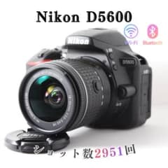 ショット数少・極美品】Nikon D5600✨Wi-Fi・バリアングル・高画質
