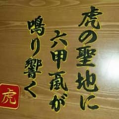 阪神○タイガース○阪神タイガース○甲子園○六甲颪○虎○アイロン○ワッペン♪のサムネイル