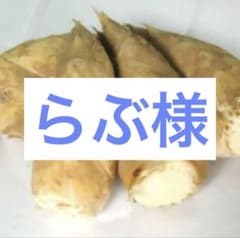 京都山城産　朝掘り筍1kgのサムネイル