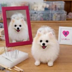 ポメラニアン 羊毛フェルト オーダーメイド 写真から制作のサムネイル