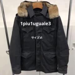 ウノピュウノウグァーレト1piu1uguale3 レオンN3B M43サイズⅥ - メルカリ