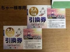 イオックスアローザ　大人一日券　2枚のサムネイル