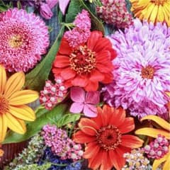 専用ページのサムネイル