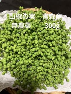天然 山椒の実 300g以上 採りたて 青森産 - メルカリ