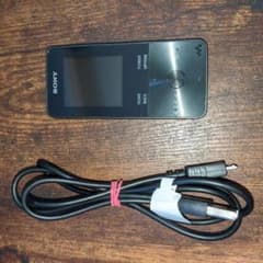SONY  NW-S313 総容量:3.20GBのサムネイル