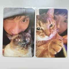 m78379583779_1.jpg?1710917098