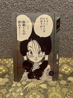 ビーデル APT-024 パラレル S*A様 ドラゴンボールスーパーダイバーズ ビーデルAPT-024 パラレル